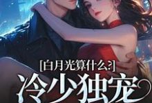 宋词慕景川在线阅读，白月光算什么？冷少独宠拍卖师！小说完结版章节-看书城
