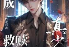 主角是晏喻裴虔的小说穿成假少爷后救赎重生真少爷在哪免费看-看书城