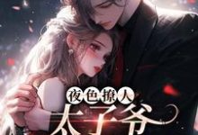 求助这本夜色撩人，太子爷为她乱了心小说在哪里可以看完结版-看书城