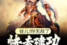 主角是叶风的小说徒儿！你无敌了，快去建功立业吧！在哪免费看-看书城