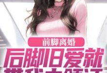 陆沉苏婉清最新章节前脚离婚，后脚旧爱就带我去领证免费阅读-看书城