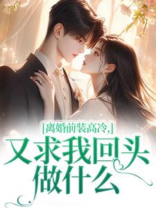 离婚前装高冷，又求我回头做什么免费阅读(苏念封承烬)小说免费读最新章节