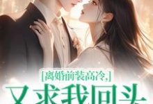 苏念封承烬小说的结局在哪可以看，离婚前装高冷，又求我回头做什么免费阅读完结版-看书城