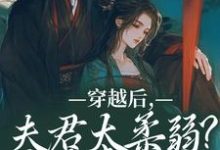 穿越后，夫君太柔弱？我来夺江山（沈微萧御衡）完结版免费阅读-看书城