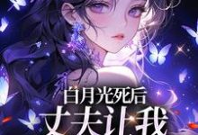 白月光死后，丈夫让我去给她赔罪小说最新章节在哪里可以免费看-看书城