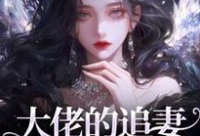 小说大佬的追妻火葬场：晚了，姐不稀罕（姜沁笙纪怀舟）最新章节在哪看-看书城