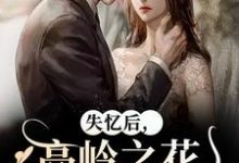 主人公是黎漾裴政臣的小说失忆后,高岭之花他又撩又哄免费阅读-看书城