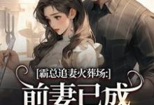 霸总追妻火葬场：前妻已成人间富贵花推荐完结小说，霸总追妻火葬场：前妻已成人间富贵花秦桑傅霆深免费小说全本-看书城