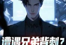 (全文)遭遇兄弟背刺？我直接去偷家完结小说推荐秦东骆小蝶全本书籍阅读-看书城