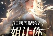 (全文)把我当赌约?姐让你跪地求饶贺南序周初黎全本免费在线阅读-看书城