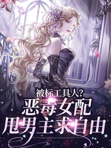 被标工具人？恶毒女配甩男主求自由（宋以宁陆明聿）全章小说阅读