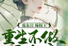废东宫，嫁权王，重生不做乖女娘（商子焱苏以卿）全本书籍阅读废东宫，嫁权王，重生不做乖女娘完整版小说-看书城