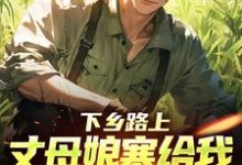 下乡路上，丈母娘塞给我一车嫁妆推荐完结小说下乡路上，丈母娘塞给我一车嫁妆(林辰宋雨)免费小说全本-看书城
