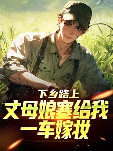 下乡路上，丈母娘塞给我一车嫁妆林辰宋雨完结小说推荐下乡路上，丈母娘塞给我一车嫁妆全本书籍阅读