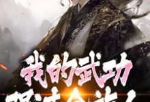 完了!我的武功强过全族人最新完结小说完了!我的武功强过全族人林枫苏清雪免费小说-看书城