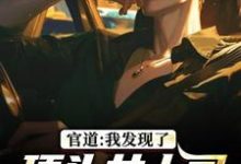官道：我发现了顶头女上司的秘密完整版小说官道：我发现了顶头女上司的秘密(徐青胡丽娜)全章小说阅读-看书城