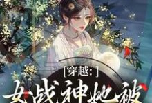 穿越：女战神她被尊主俘获了推荐完结小说，穿越：女战神她被尊主俘获了云澜夜无溟免费小说全本-看书城