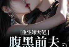 (全文)重生嫁大佬,腹黑前夫追妻火葬场(林疏桐贺霆屿)全本书籍阅读重生嫁大佬,腹黑前夫追妻火葬场免费小说全本-看书城