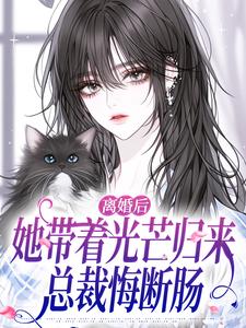 离婚后她带着光芒归来，总裁悔断肠推荐完结小说离婚后她带着光芒归来，总裁悔断肠(江念慕南辞)免费小说全本