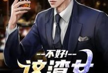 (全文)不好!这渣女要虐死了完结小说推荐顾迟云云晚晚全本书籍阅读-看书城