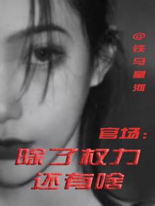 (全文)官场：除了权力还有啥免费小说全本，丁俊丰贺征试读更新章节