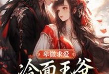 (全文)卑微求爱：冷面王爷只为她轻哄（苏如卿赫连渊）试读更新章节卑微求爱：冷面王爷只为她轻哄免费小说-看书城