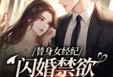 替身女经纪,闪婚禁欲大佬虐渣男最新完结小说替身女经纪,闪婚禁欲大佬虐渣男黎湘霍斯然免费小说-看书城
