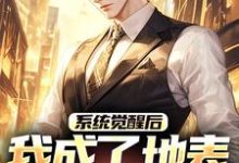 江南系统觉醒后，我成了地表最强龙傲天全本免费在线阅读-看书城