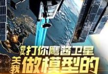 老头打你鹰酱卫星，关我做模型的什么事秦阳试读更新章节老头打你鹰酱卫星，关我做模型的什么事秦阳免费小说-看书城