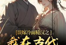 (全文)误嫁冷面糙汉之我在古代当小媳妇(苏琴岑殷闵)全本免费在线阅读-看书城