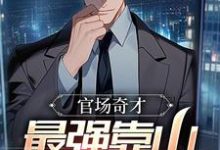 (全文)官场：被贬后，我强大身世曝光(李霖)全本免费在线阅读-看书城