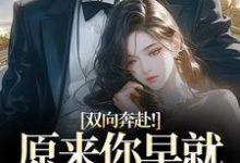 (全文)双向奔赴！原来你早就爱上我了(路星岚周池野)全本免费在线阅读-看书城