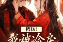 (全文)糟糕!我被冷戾帝王缠上了越婈君宸州全本免费在线阅读-看书城