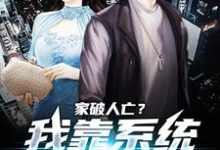 家破人亡？我靠系统儿孙满堂推荐完结小说家破人亡？我靠系统儿孙满堂(柳若澜许良)免费小说全本-看书城
