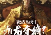 激活系统：九龙夺嫡？都给我靠边完整版小说，激活系统：九龙夺嫡？都给我靠边衡顺李景源全章小说阅读-看书城