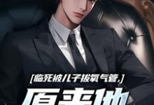 临死被儿子拔氧气管，原来他非亲生（林子阳）小说推荐临死被儿子拔氧气管，原来他非亲生全章小说阅读-看书城