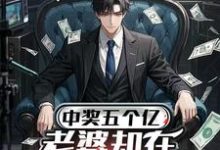 (全文)中奖五个亿，老婆却在领奖前提离婚免费小说全本，陈志试读更新章节-看书城