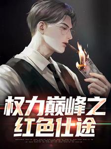 权力巅峰之红色仕途完整版小说，权力巅峰之红色仕途张文定试读更新章节
