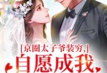 京圈太子爷装穷,自愿成我的金丝雀(秦婕妤殷权)全本书籍阅读京圈太子爷装穷,自愿成我的金丝雀完整版小说-看书城