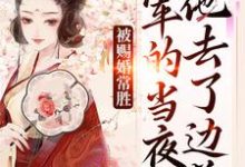 被赐婚常胜将军的当夜，他去了边关热门小说排行榜被赐婚常胜将军的当夜，他去了边关青妩燕昭免费小说全本-看书城