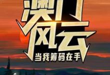 (全文)澳门风云:当我筹码在手完结小说推荐王东曼丽全本书籍阅读-看书城