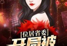 位居省委，开局被妻子举报完整版小说，位居省委，开局被妻子举报苏玉黎锦全章小说阅读-看书城