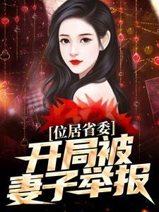 位居省委，开局被妻子举报完整版小说，位居省委，开局被妻子举报苏玉黎锦全章小说阅读