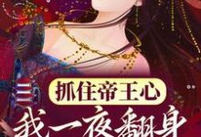 萧煜沈芙抓住帝王心，我一夜翻身成宠妃全本免费在线阅读-看书城