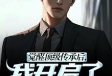 张奕李小曼觉醒顶级传承后，我开启了无敌之路全本免费在线阅读-看书城