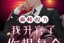 (全文)巅峰权力：我升官了你想复合热门小说排行榜，巅峰权力：我升官了你想复合林磊全章小说阅读-看书城