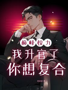 (全文)巅峰权力：我升官了你想复合热门小说排行榜，巅峰权力：我升官了你想复合林磊全章小说阅读