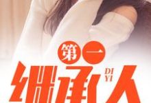 第一继承人（徐飞）小说推荐第一继承人全章小说阅读-看书城