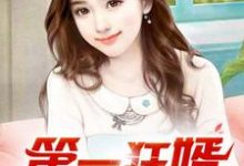 (全文)第一狂婿（林枫）试读更新章节第一狂婿免费小说-看书城