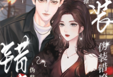 伪装错撩完整版小说伪装错撩(宋舒音纪鹤野)全章小说阅读-看书城